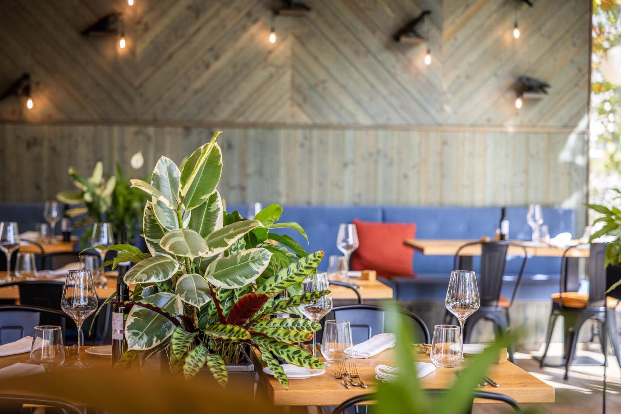 Boutique Hotel Sunrose 7 - Gourmet & Spa (Adults Only) Bohinj Luaran gambar
